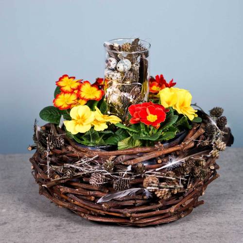 Floristik24 Cesto per piante rami di vite natura Ø36cm H16cm