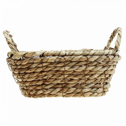 Floristik24 Cesto per piante cesto di posidonia con manici decoro ovale 23×13×9cm