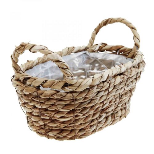 Floristik24 Cesto per piante cesto di posidonia con manici decoro ovale 23×13×9cm