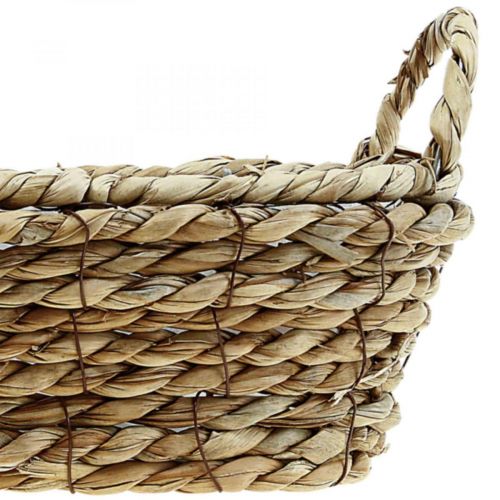 Floristik24 Cesto per piante cesto di posidonia con manici decoro ovale 23×13×9cm