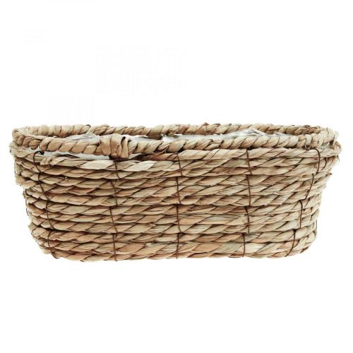 Floristik24 Cesto per piante cesto di alghe cesto decorativo ovale 28×15×10cm