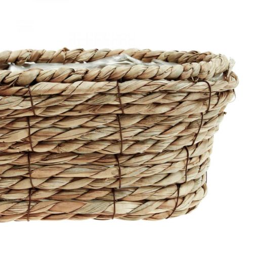Floristik24 Cesto per piante cesto di alghe cesto decorativo ovale 28×15×10cm