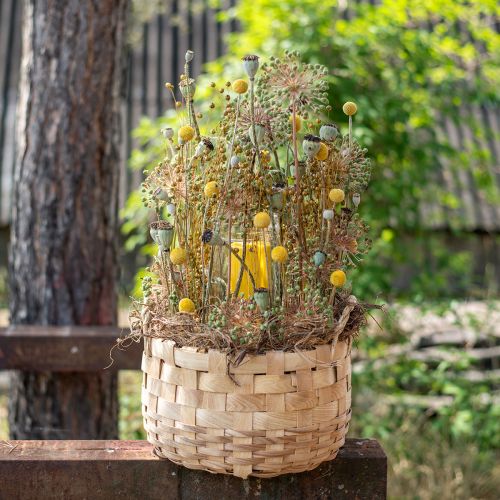 Cesto portavasi per piante cesto decorativo natura Ø18/23/29cm set di 3