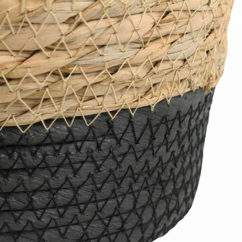 Floristik24 Cesto per piante fioriera cesto di alghe deco natura Ø23cm H20cm