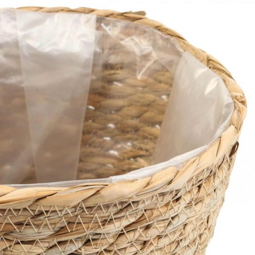 Prodotto Fioriera per cesto di piante cesto di alghe deco natura Ø26cm H23cm