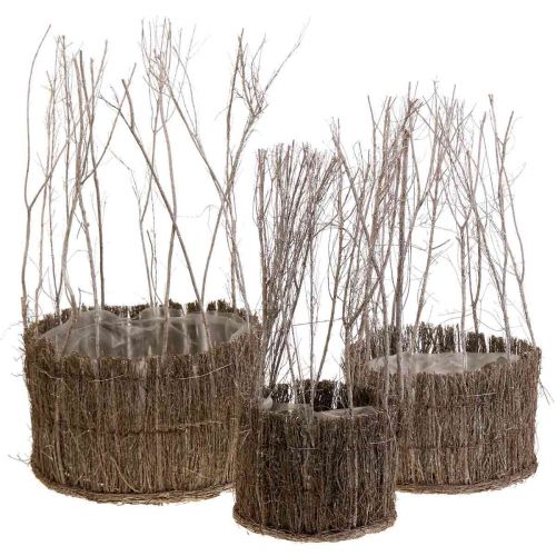 Cesto per piante fatto di ramoscelli lavati bianchi Ø15-25cm set di 3