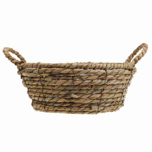 Floristik24 Cesto per piante cesto di alghe con manici decorazione da tavola Ø30cm H11cm