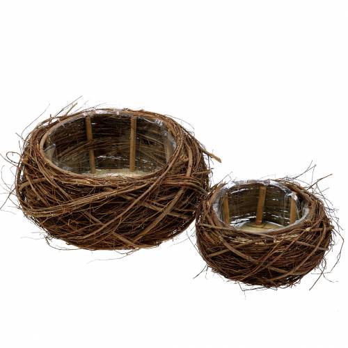 Floristik24 Cesto per piante vite e ramoscelli naturali Ø37 / 28cm, set di 2