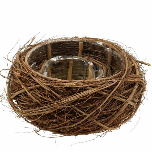 Floristik24 Cesto per piante vite e ramoscelli naturali Ø37 / 28cm, set di 2