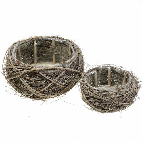 Cesto per piante vite e rami sbiancati Ø37/28cm set di 2