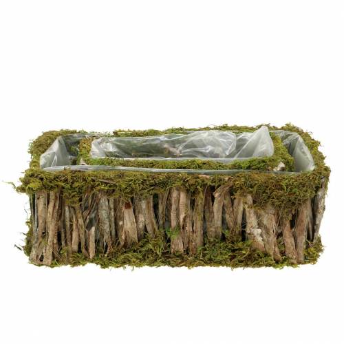 Floristik24 Cesto di piantagione di muschio angolare, corteccia 34 × 15,5 / 24,5 × 11 cm, set di 2