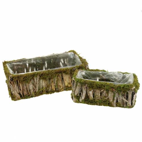 Floristik24 Cesto di piantagione di muschio angolare, corteccia 34 × 15,5 / 24,5 × 11 cm, set di 2