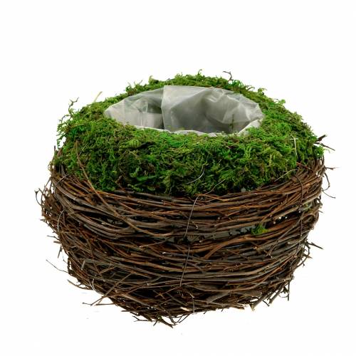 Floristik24 Portavasi in rattan, muschio Ø16cm H11cm