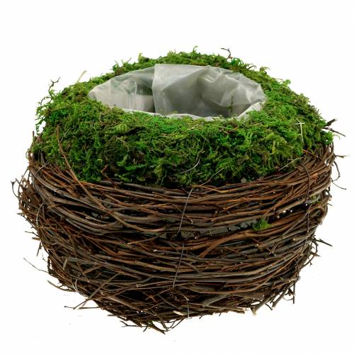 Floristik24 Vaso per fioriera in rattan, muschio Ø19cm H13cm
