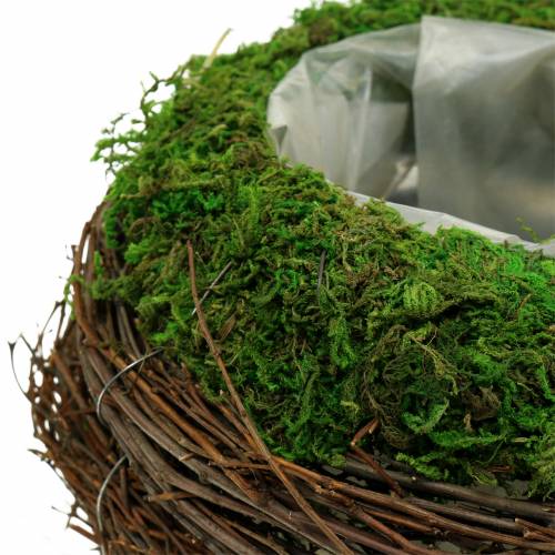 Floristik24 Vaso per fioriera in rattan, muschio Ø19cm H13cm