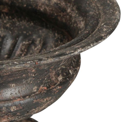 Prodotto Calice Coppa Pianta Aspetto Antico Nero Marrone Ø20cm H15cm