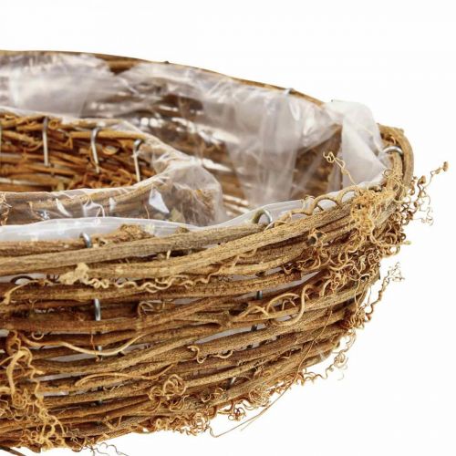 Floristik24 Anello per piante di vite, ciotola per piante Ø35/30cm set di 2