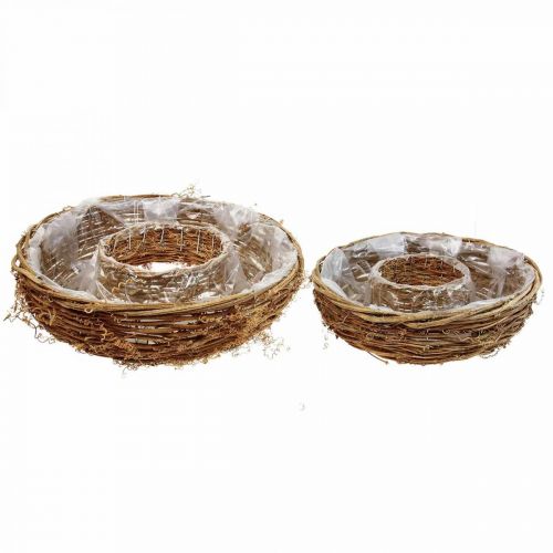 Floristik24 Anello per piante di vite, ciotola per piante Ø35/30cm set di 2