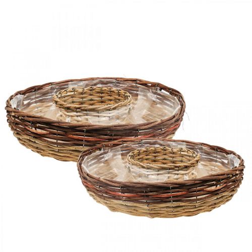 Floristik24 Anello per piante in salice, ciotola per piante Ø44/38cm set di 2
