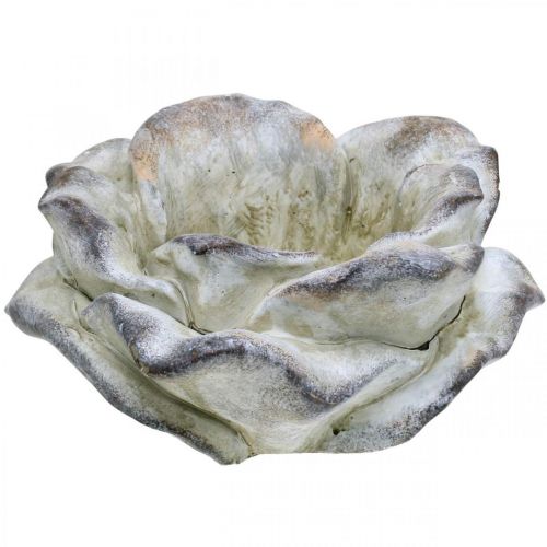 Floristik24 Rosa di cemento, decorazione del giardino, rosa vegetale, fiori funebri grigio, albicocca, viola Ø12cm L26.5cm H11cm