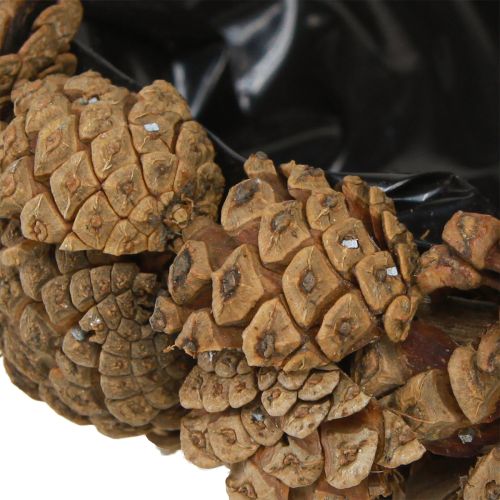Floristik24 Ciotola per piante coni veri ciotola conica naturale Ø28cm H9cm