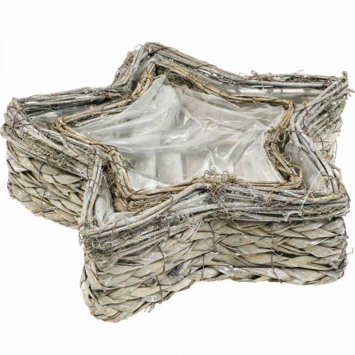 Prodotto Ciotola per piante stella, fioriera di alghe Ø32/23,5cm set di 2