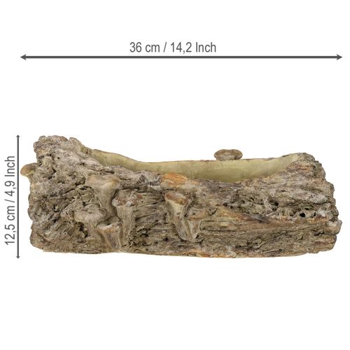 Prodotto Fioriera tronco d&#39;albero in pietra artificiale con funghi 36×18×12,5cm