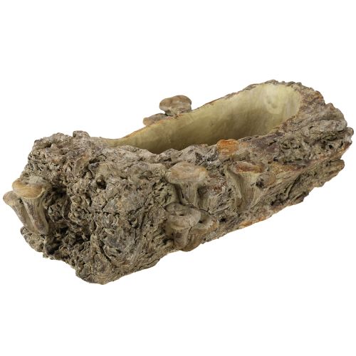 Prodotto Fioriera tronco d&#39;albero in pietra artificiale con funghi 36×18×12,5cm