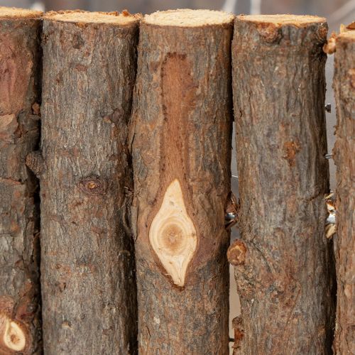 Prodotto Vaso per piante quadrato rami di betulla naturale 14,5/20 cm set di 2