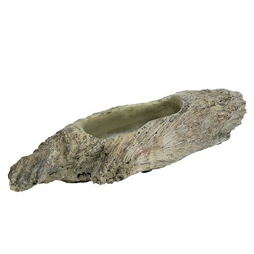 Floristik24 Ciotola per piante grasse 24,5 cm x 8,5 cm H5,5 cm