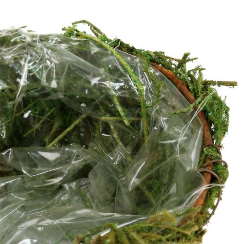 Floristik24 Ciotola per fioriera con muschio Ø16cm H9cm - 10cm verde 3 pezzi