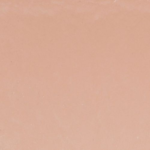 Prodotto Ciotola per piante ovale ciotola decorativa plastica rosa marrone 20×10×11 cm 3pz