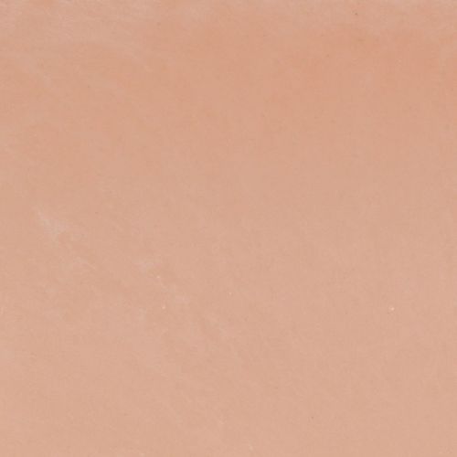 Prodotto Ciotola per piante ovale ciotola decorativa plastica rosa marrone 27×11×10 cm 3pz