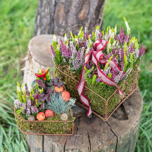 Floristik24 Ciotola per piante in metallo a forma di cuore, cestino in rete, ruggine 20/24,5/30, set da 3