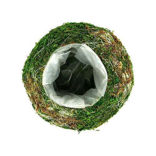 Floristik24 Vaso per piante Vaso per muschio Ø18cm 2pz