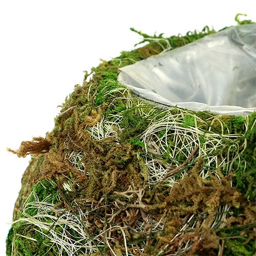 Ciotola per piantare Moss Bowl Ø18cm 2 pezzi