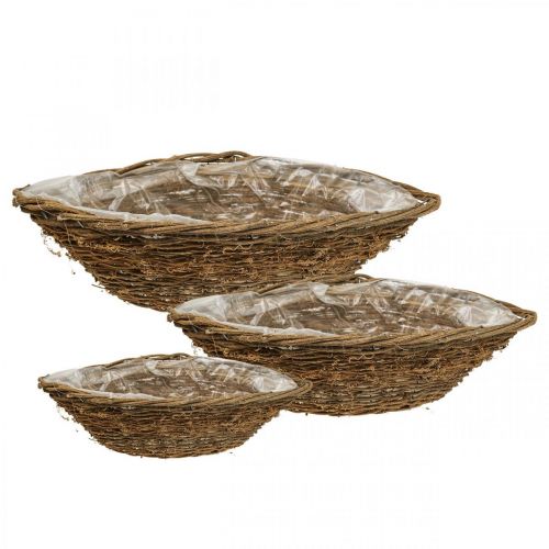 Floristik24 Vaso per piante, cesto per piante, cesto per vite, L35/42/46 cm, set da 3