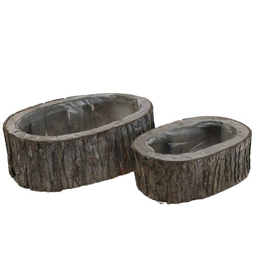 Floristik24 Vaso per piante vaso da fiori corteccia di legno L23/29,5cm set di 2