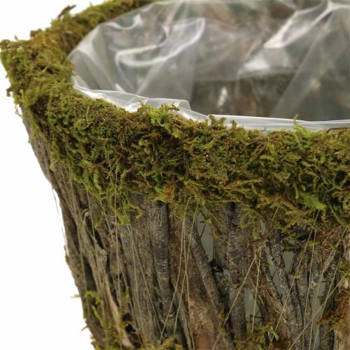 Floristik24 Ciotola per piante muschio/corteccia tonda Ø15/20cm set di 2
