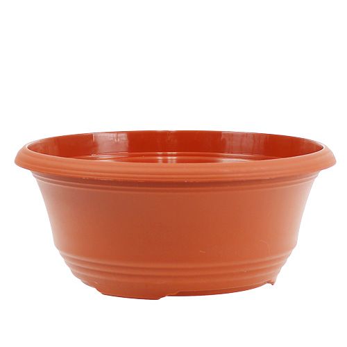 Prodotto Ciotola per piante in plastica Ø23cm H10cm 1 pezzo