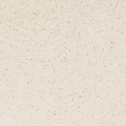 Prodotto Portapiante in plastica per nave portapiante beige 28×9×9 cm 3pz
