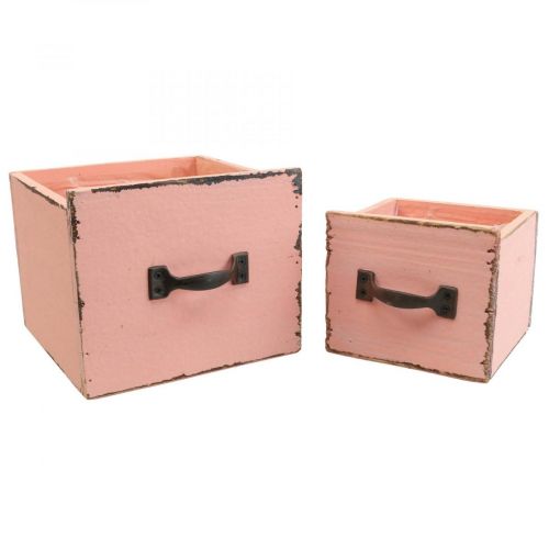 Floristik24 Cassettiera per piante in legno di pesca 12,5/16 cm set di 2