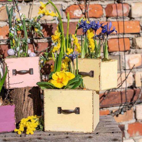 Floristik24 Cassettiera per piante in legno giallo 12,5/16 cm set di 2