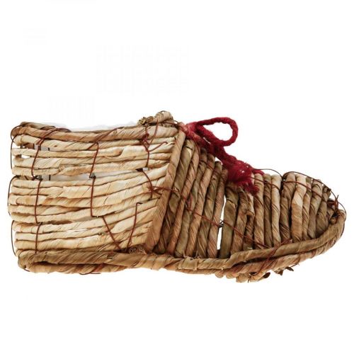 Floristik24 Scarpa per vaso per piantare erba marina 22,5 × 10 × 12 cm