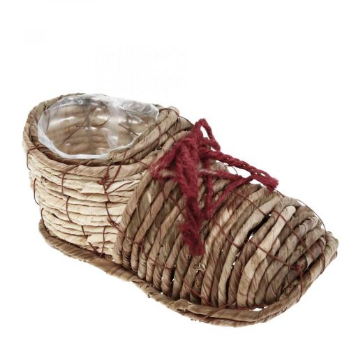 Scarpa per vaso per piantare erba marina 22,5 × 10 × 12 cm