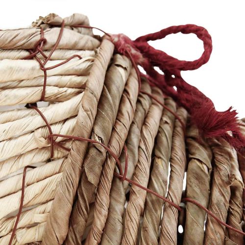 Floristik24 Scarpa per vaso per piantare erba marina 22,5 × 10 × 12 cm