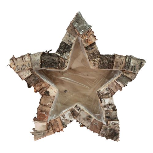 Floristik24 Fioriera in legno fioriera stella vaso per piante Ø30cm H7cm