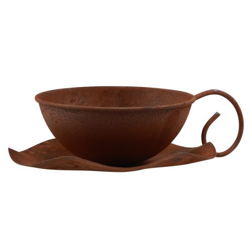 Floristik24 Tazza per piante con piattino ruggine vintage Ø17,5 cm H6 cm