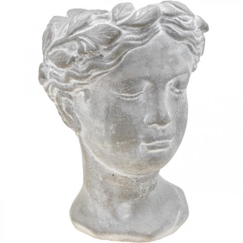 Floristik24 Busto portavaso testa di pianta imbiancata in cemento Ø10cm H21cm