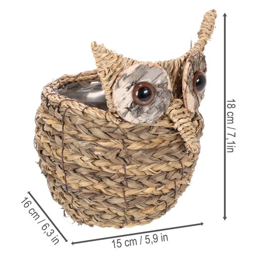 Decorazione a forma di gufo intrecciata a mano per davanzale, 18 cm | Floristik24.it